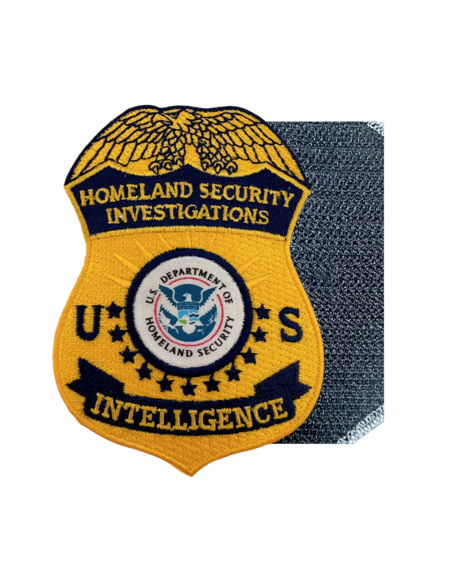 HSI INTELLIGENCE BADGE PATCH GOLD 3 3/4 INCH - Image 3